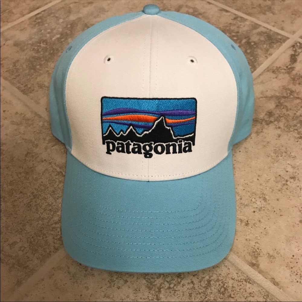 Patagonia trucker hat